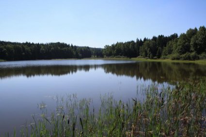 Rybník Pelhřimov