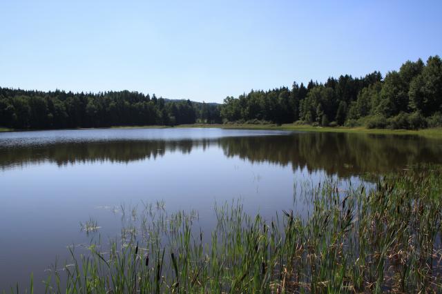Rybník Pelhřimov